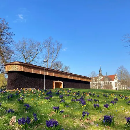 Kurhotel Bad Schmiedeberg Otel 3*