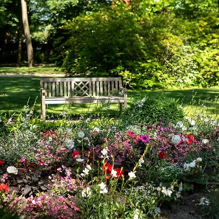 Kurhotel Bad Schmiedeberg Hotel Bad Schmiedeberg