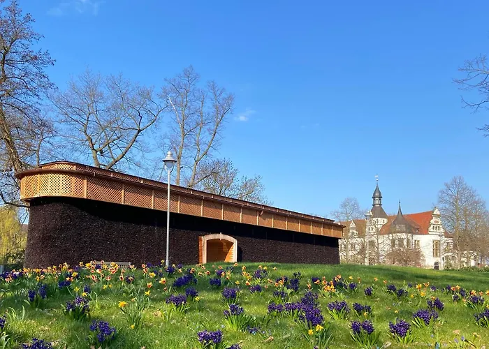 Kurhotel Bad Schmiedeberg Hotel 3*