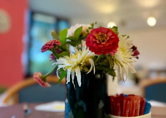 Kurhotel Bad Schmiedeberg 3*